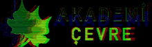 the word akademi is on a black background with a green leaf