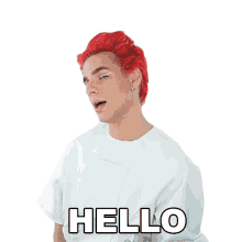 hello brad mondo hi hey greetings