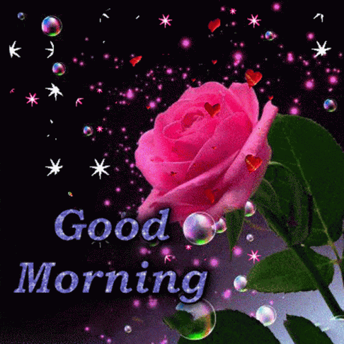 Good Morning Rose GIF - Good Morning Rose Sparkle - Discover & Share GIFs
