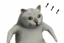 a white cat with a surprised look on its face is surrounded by exclamation points