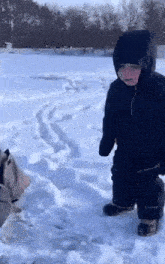 a boy and a dog are playing in the snow .