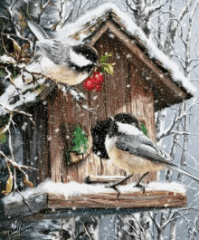 Koolmees Sneeuw Snow GIF - Koolmees Sneeuw Snow Birds GIFs