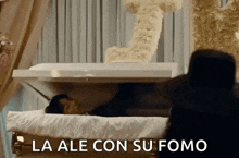 a man is laying in a coffin with the words la ale con su fomo on the bottom