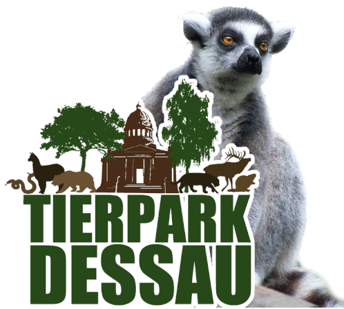 Dessau Tierpark Sticker - Dessau Tierpark Tierparkdessau Stickers