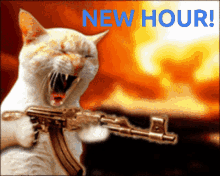 Cat Machine Gun GIF - Cat Machine Gun GIFs
