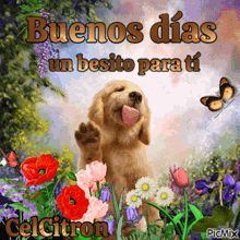 a picture of a dog with the words buenos dias un beso para ti