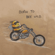 Bee Wild GIF - Bee Wild GIFs