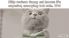 Cat Review Kitty Review GIF