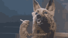 light dog