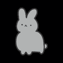 Bunny Rabbit GIF - Bunny Rabbit Oops GIFs