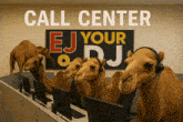 a group of camels wearing headphones in front of a sign that says call center