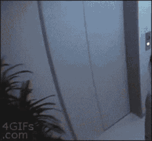 Elevator Prank GIF - Elevator Prank GIFs