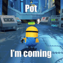 My Pot You GIF - My Pot You Smile - Discover & Share GIFs