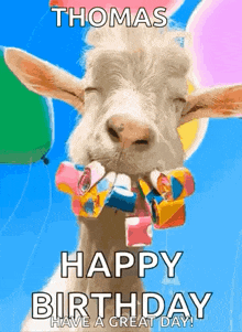 a goat with balloons in its mouth says happy birthday thomas have a great day