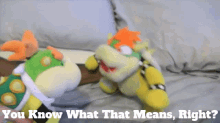 Sml Bowser GIF - Sml Bowser You Know What That Means Right GIFs