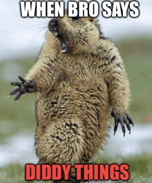 a picture of a ground squirrel with a caption that says when bro says diddy things