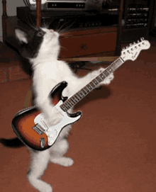 GIF