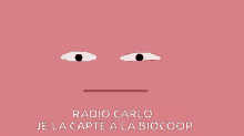 Radio Carlo Je La La Capteàla Biocoop Radiobiocoop GIF - Radio Carlo Je La La Capteàla Biocoop Radiobiocoop Biocoop GIFs