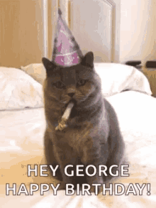 Birthday Happy Birthday GIF - Birthday Happy Birthday Cat GIFs