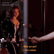 a woman in a cat costume asks what are you