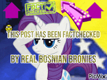 Factchecked Bosnian GIF - Factchecked Bosnian Bronies GIFs