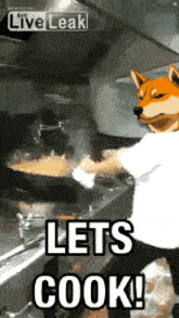 a dog is cooking in a kitchen with the words let 's cook