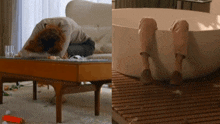 a woman laying on the floor next to a tub