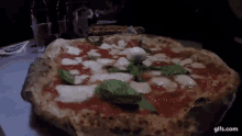 Pizza Pizza Napoletana GIF