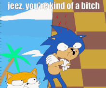 Sonic Mad GIF - Sonic Mad Calm Down GIFs