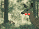 a picture of a deer with two red hearts and the words please kill me below it
