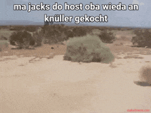 a desert scene with the words ma jacks do host oba wieda an knuller gekocht