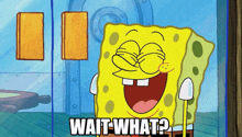Wait What Meme GIF - Wait What Meme Spongebob GIFs