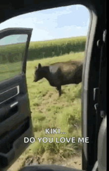 Kiki Challenge Cow GIF - Kiki Challenge Cow Kiki GIFs