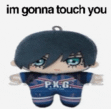 a stuffed toy with a p.x.g. shirt on