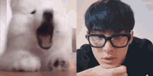 Mingyu Mingyu Puppy GIF - Mingyu Mingyu Puppy Solovt GIFs