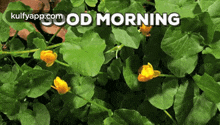 Wishing.Gif GIF - Wishing Goodmorning Virumpukiṟēṉ GIFs