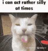 a cat is sticking its tongue out with the caption i can act rather silly at times