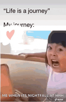 a picture of a little girl with a caption that says life is a journey