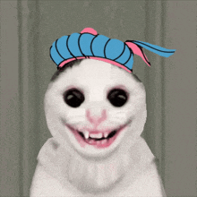 a white cat with a blue and pink hat on its head