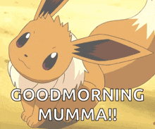 a cartoon eevee says " good morning mumma " in white letters