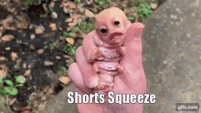 shorts squeeze shorties