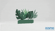an advertisement for an eye mask with a plant on it