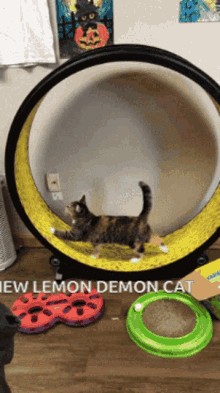 Lemondemon Lemon Demon Cat GIF - Lemondemon Lemon Demon Cat GIFs