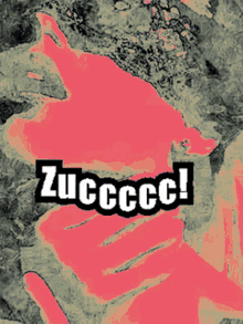 Zuccccc Zuc GIF - Zuccccc Zuc Zucbds GIFs