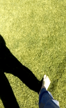 a shadow of a person 's foot is cast on a lush green field