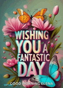a poster that says wishing you a fantastic day with flowers and butterflies