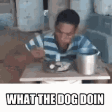 What The Dog Doin GIF
