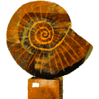 a painting of an ammonite with a yellow spiral