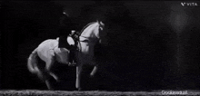 Horse Rider GIF - Horse Rider GIFs