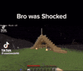 Minecraft Minecraft Memes GIF - Minecraft Minecraft Memes Bro Was Shocked GIFs